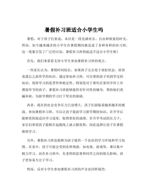 暑假补习班适合小学生吗