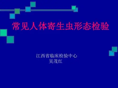 寄生虫实验课件