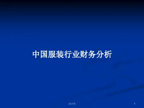 中国服装行业财务分析PPT教案