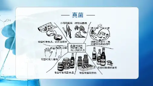 真菌—霉菌(水产微生物课件)