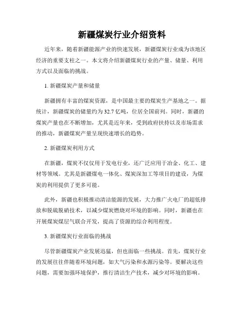 新疆煤炭行业介绍资料