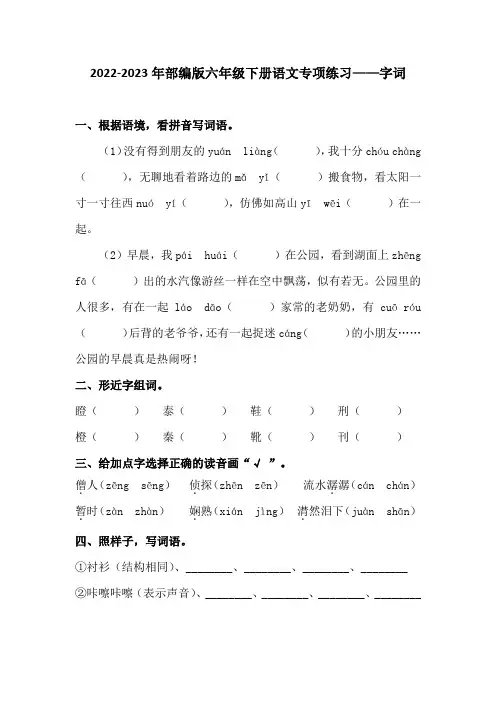 2022-2023年部编版六年级下册语文专项练习——字词