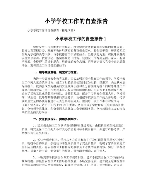 小学学校工作的自查报告