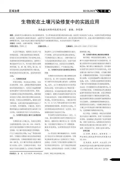 生物炭在土壤污染修复中的实践应用