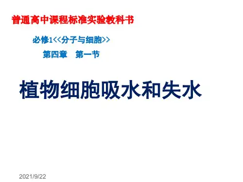 人教版生物必修一4.1《探究植物细胞的吸水与失水》   说课 课件(共24张PPT)