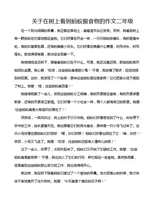 关于在树上看到蚂蚁搬食物的作文二年级