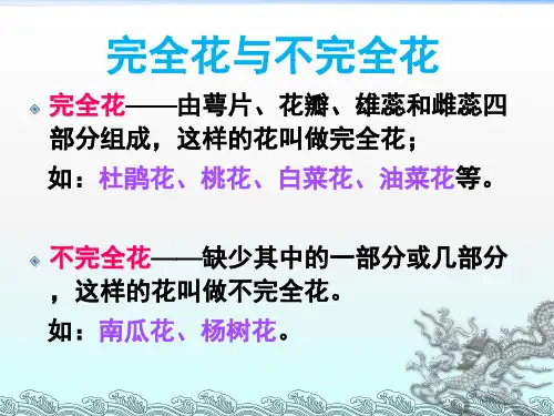 花果实和种子(课堂PPT)