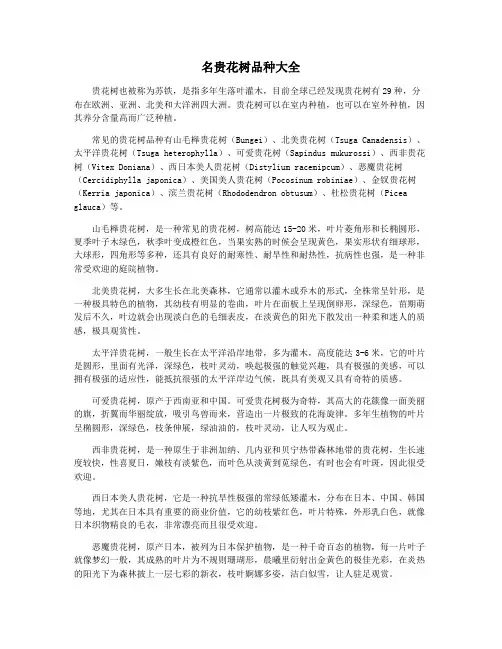 名贵花树品种大全