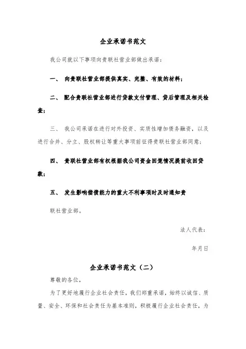 企业承诺书范文（五篇）
