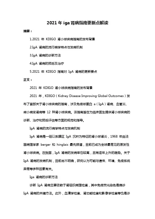 2021年iga肾病指南更新点解读