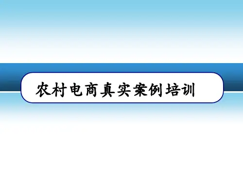 农业电商真实案例培训农村电子商务案例分析