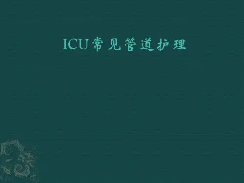 ICU常见管道护理PPT课件
