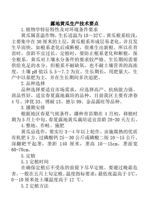露地黄瓜生产技术要点