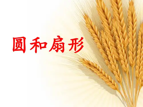 《圆和扇形》补充练习