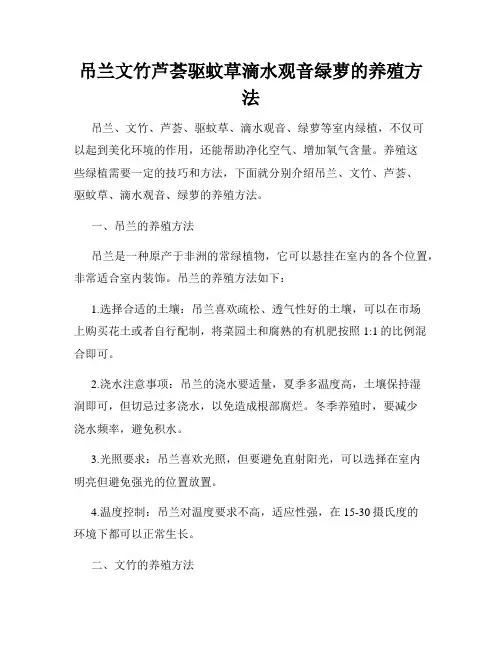 吊兰文竹芦荟驱蚊草滴水观音绿萝的养殖方法