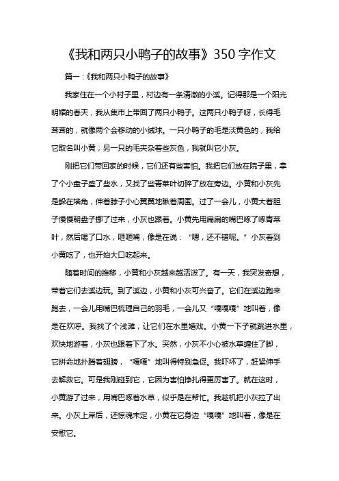 《我和两只小鸭子的故事》350字作文