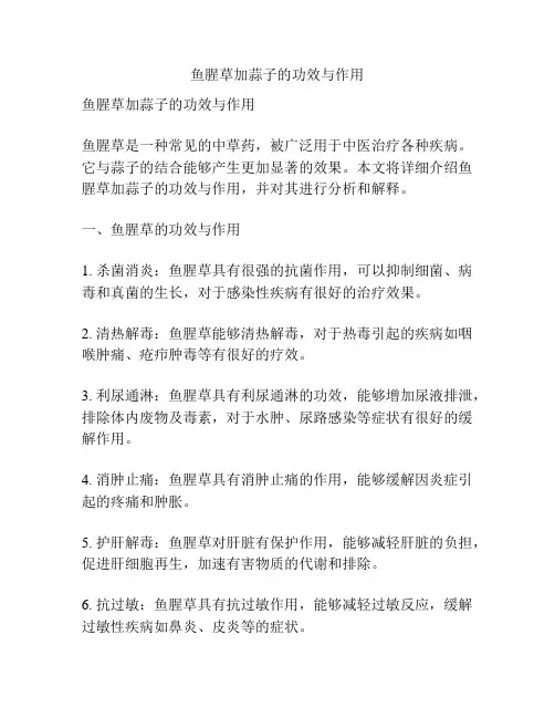 鱼腥草加蒜子的功效与作用