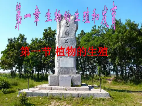 人教版生物八年级下册第七单元第一章第一节《植物的生殖》课件 (共23张PPT)