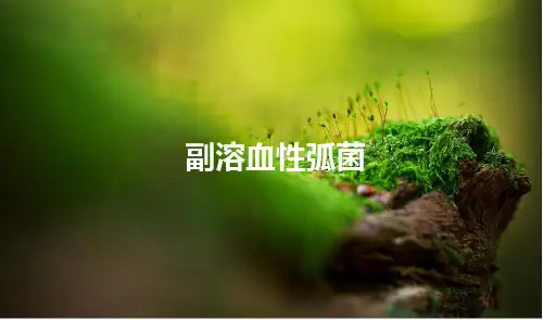 副溶血性弧菌