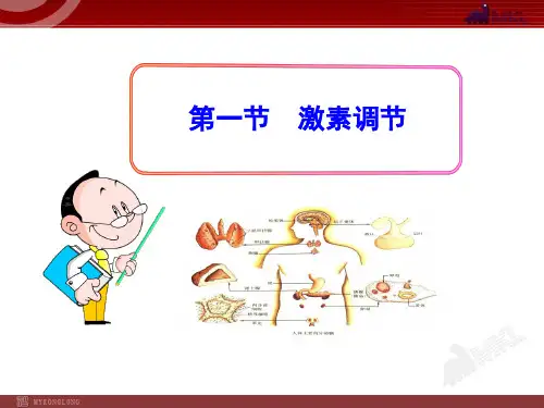 人体的激素调节优秀课件