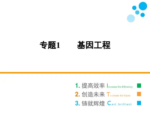 人教版选修三 专题1 1.4 蛋白质工程的崛起 课件(45张)