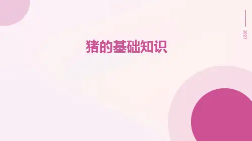 猪的基础知识