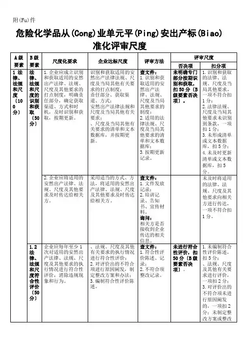 危险化学品从业单位安全生产标准化评审标准 文档(共55页)