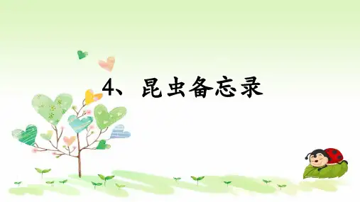 统编版语文三年级下册 昆虫备忘录 课件PPT