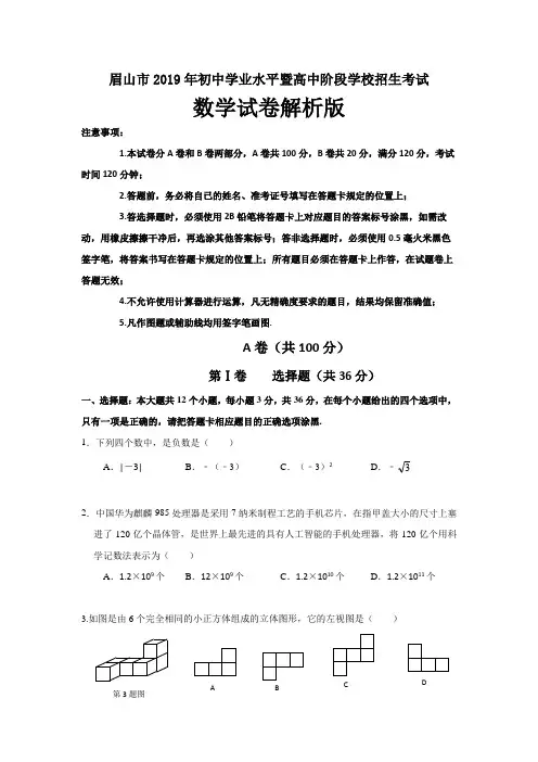 2019年四川省三市中考数学试题(3套,55页,含答案)