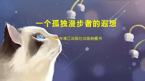 一个孤独漫步者的遐想
