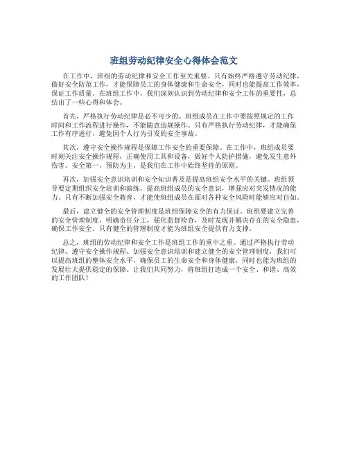 班组劳动纪律安全心得体会范文