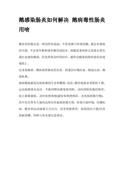 鹅感染肠炎如何解决 鹅病毒性肠炎用啥