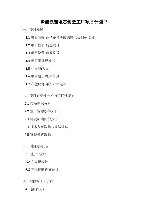 磷酸铁锂电芯制造工厂项目计划书