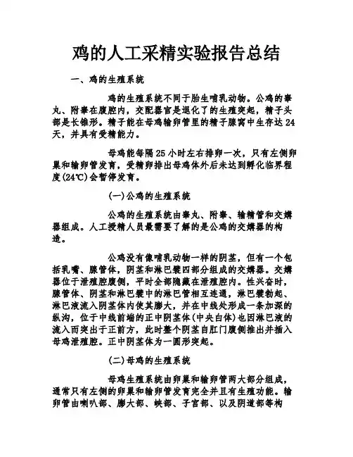 鸡的人工采精实验报告总结
