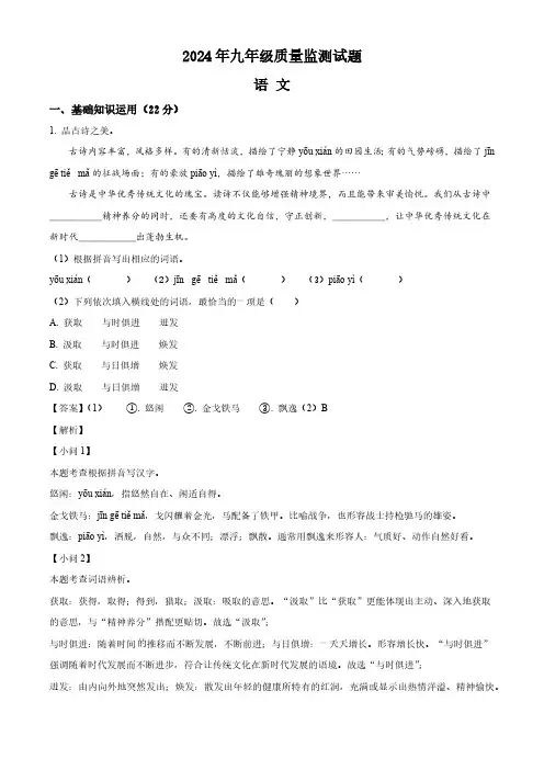 2024年河南省驻马店市驿城区中考三模语文试题(解析版)