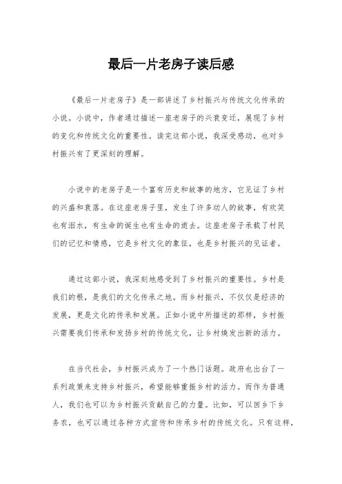 最后一片老房子读后感