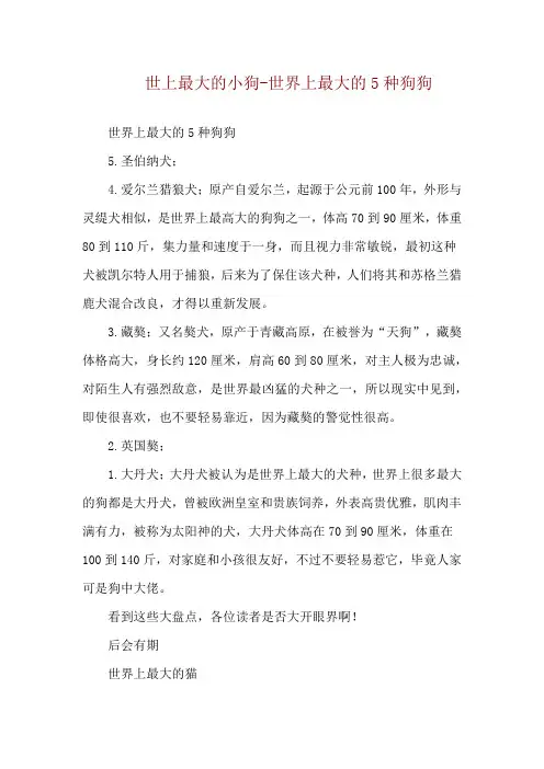 世上最大的小狗-世界上最大的5种狗狗