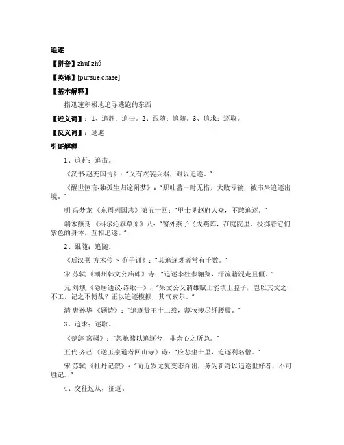 追逐的同义词