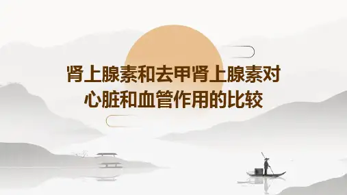 肾上腺素和去甲肾上腺素对心脏和血管作用的比较