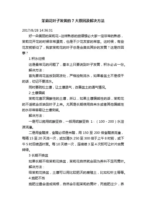 茉莉花叶子发黄的7大原因及解决方法