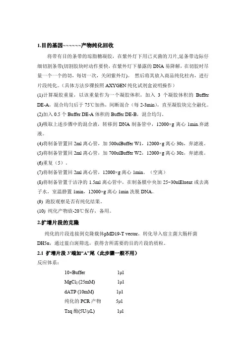 克隆全过程