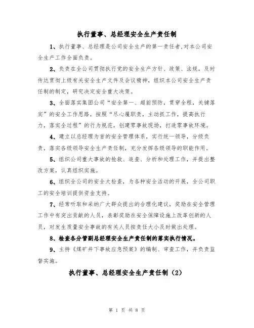 执行董事、总经理安全生产责任制(5篇)