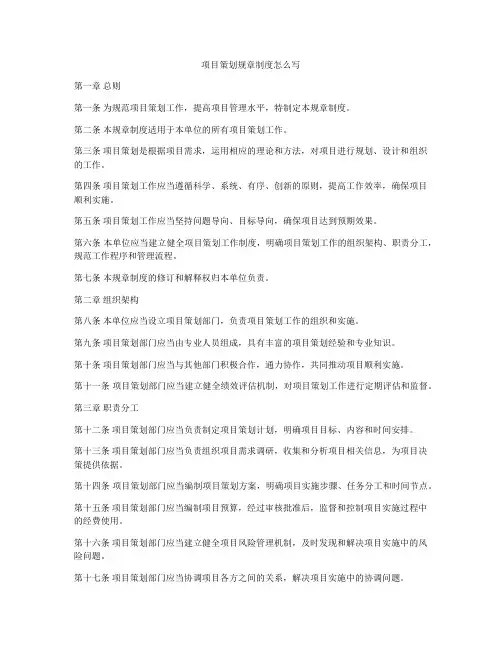 项目策划规章制度怎么写