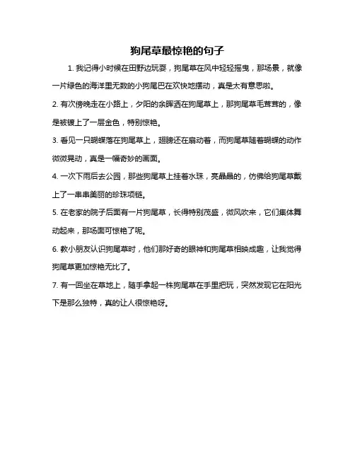 狗尾草最惊艳的句子