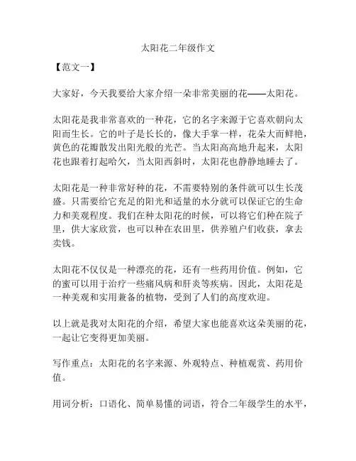 太阳花二年级作文
