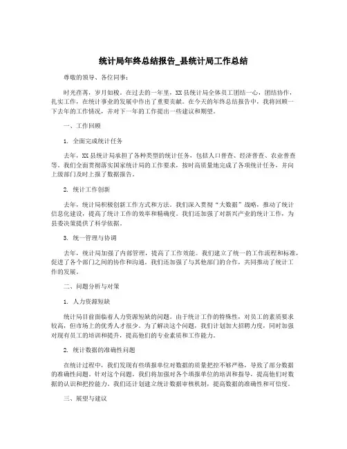 统计局年终总结报告_县统计局工作总结