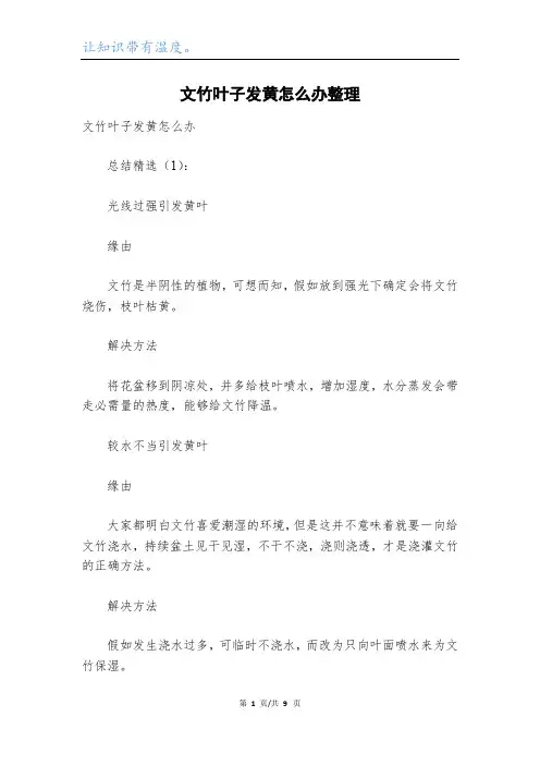 文竹叶子发黄怎么办整理