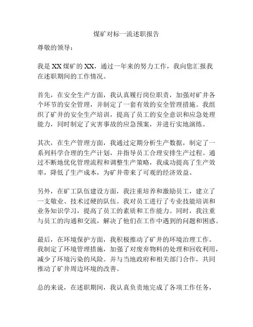 煤矿对标一流述职报告