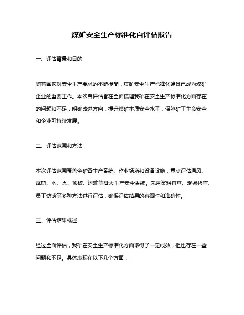 煤矿安全生产标准化自评估报告