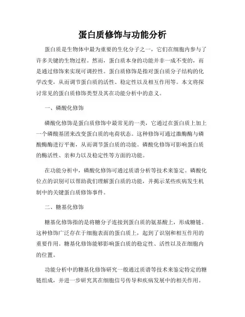 蛋白质修饰与功能分析